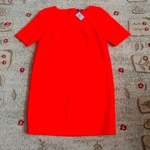 Ann Taylor shift dress